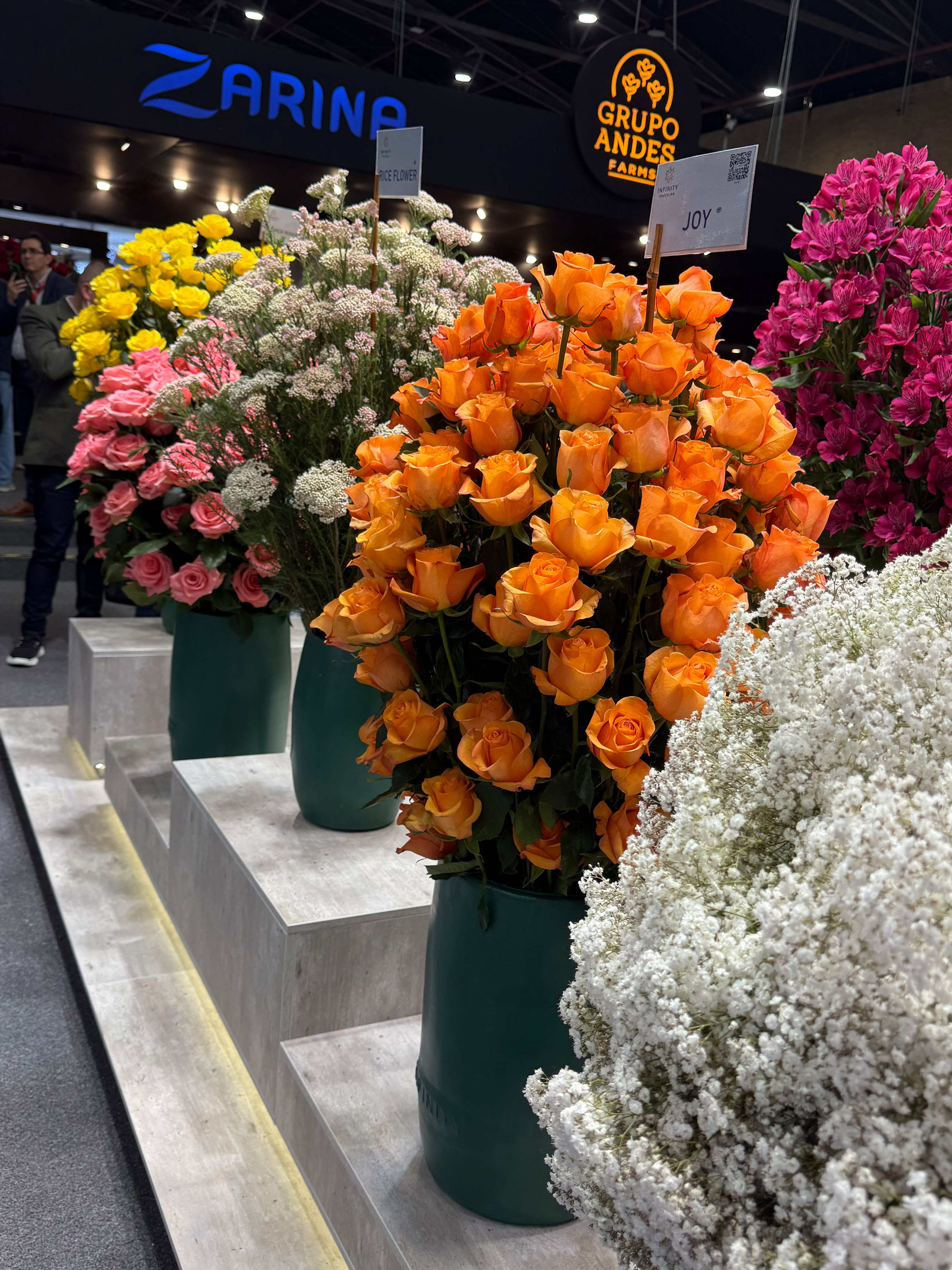 Innovaflor en Colombia — feria de floricultura 1