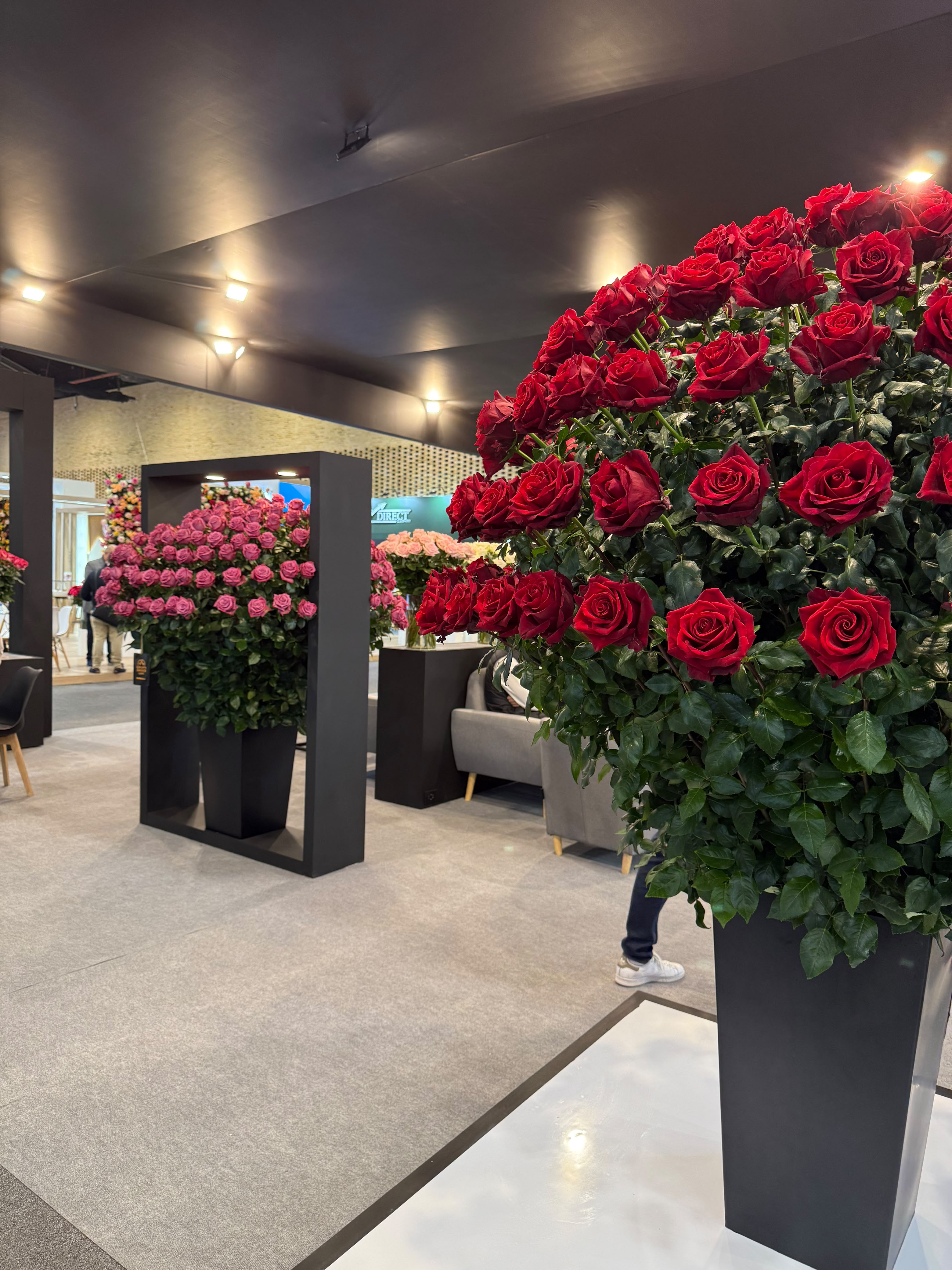 Innovaflor en Colombia — feria de floricultura 7